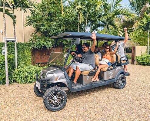 renta-de-carritos-de-golf-bahia-de-banderas-litibu-3