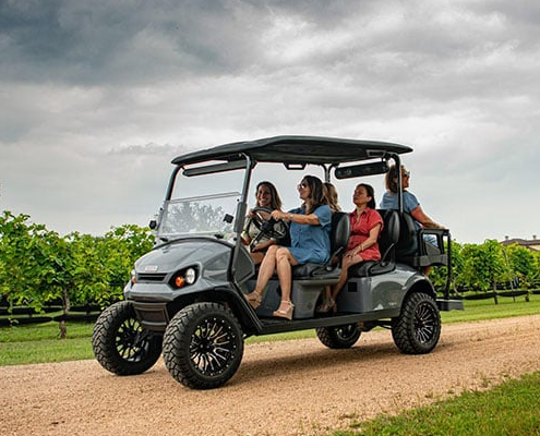 renta-de-carritos-de-golf-bahia-de-banderas-litibu