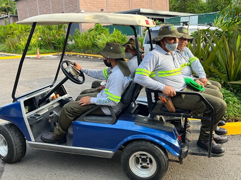 carrito-de-golf-jardineria-vallarta-litibu-2