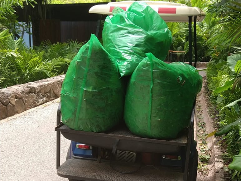 carrito-de-golf-jardineria-vallarta-litibu-3