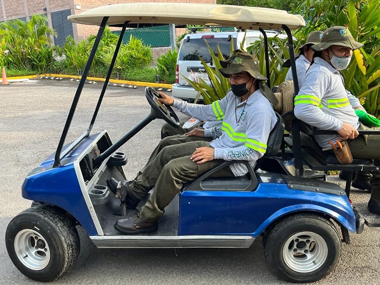 carrito-de-golf-jardineria-vallarta-litibu